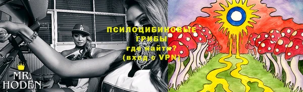 ГАЛЛЮЦИНОГЕННЫЕ ГРИБЫ Арсеньев