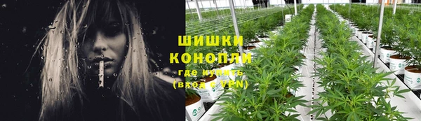 ГАЛЛЮЦИНОГЕННЫЕ ГРИБЫ Арсеньев