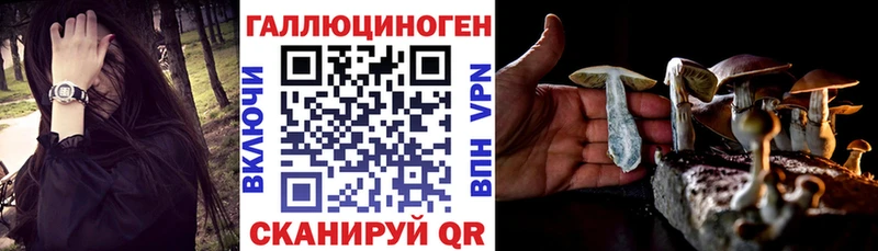 Купить закладки  Гаврилов Посад  Галлюциногенные грибы Psilocybine cubensis 